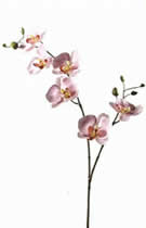 Silk Flowers Cymbidium 2 Stem Pink