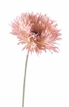 Silk Flowers Large Spider Gerbera Light Pink