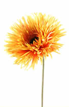 Silk Flowers Large Spider Gerbera Yellow