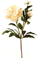 Silk Flowers Peony