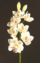 Silk Flowers Phalaenopsis White-Pink