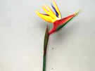 Silk Flowers Strelzia