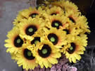 Silk Flowers Gerberas