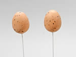 75795 Plastic Peewit Egg Pick x12 Brown 6cm