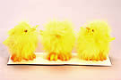 Fluffy Chick Yellow