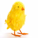 Fluffy Yellow Chick